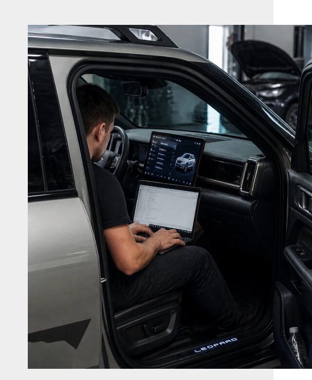 Русификация BYD Leopard 3 в Вязьме по цене от 20461 р. | ФастМобиль-Взь